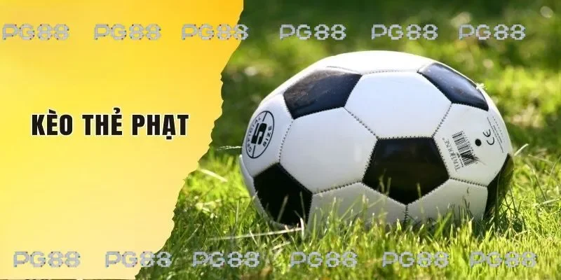 Hướng dẫn cách tham gia kèo thẻ phạt cho người mới